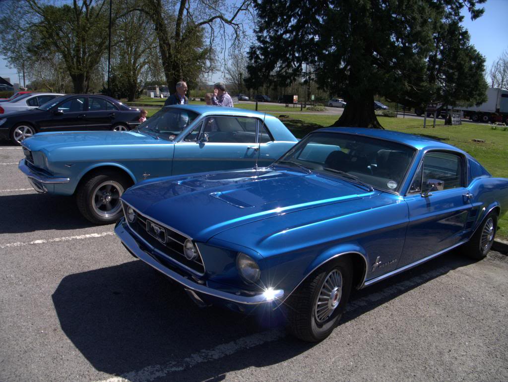 Name:  P1030374_zps89132d0f.jpg
Views: 33
Size:  132.2 KB