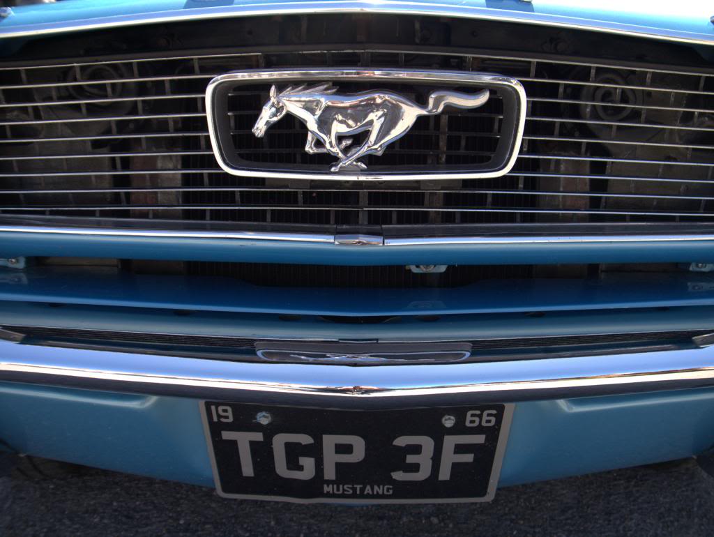 Name:  P1030373_zps2d0d9dc4.jpg
Views: 35
Size:  93.5 KB