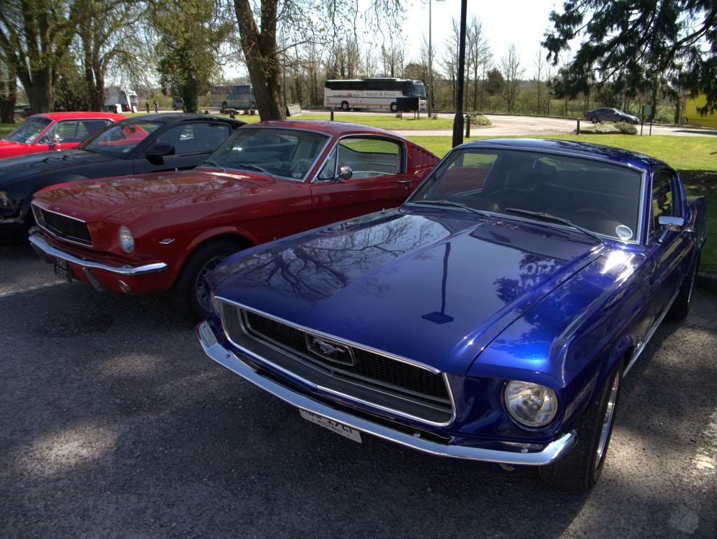 Name:  P1030371_zps1fa5c42f.jpg
Views: 33
Size:  139.0 KB