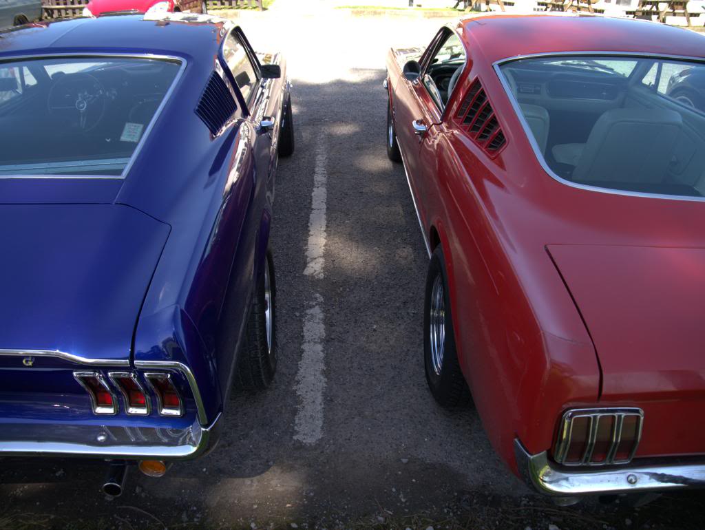 Name:  P1030367_zpsa4764bcf.jpg
Views: 34
Size:  93.0 KB