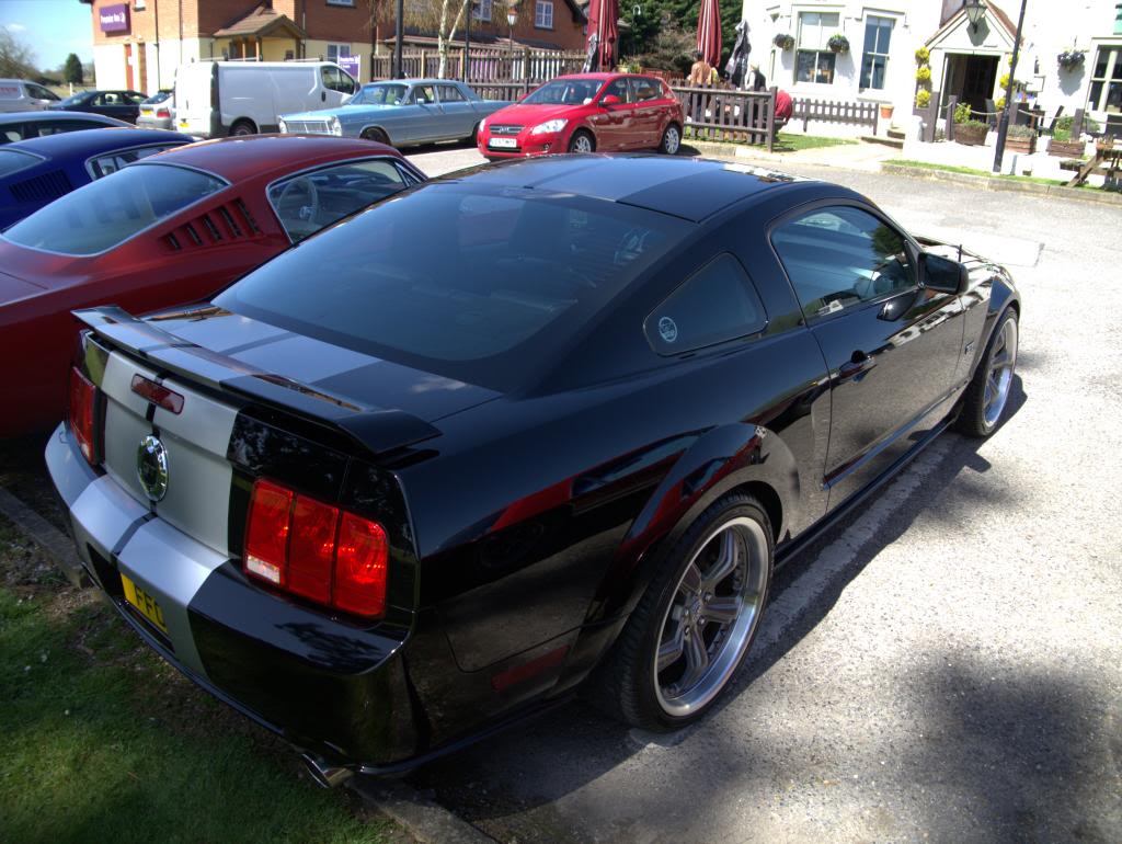 Name:  P1030366_zps499fa19f.jpg
Views: 36
Size:  124.3 KB