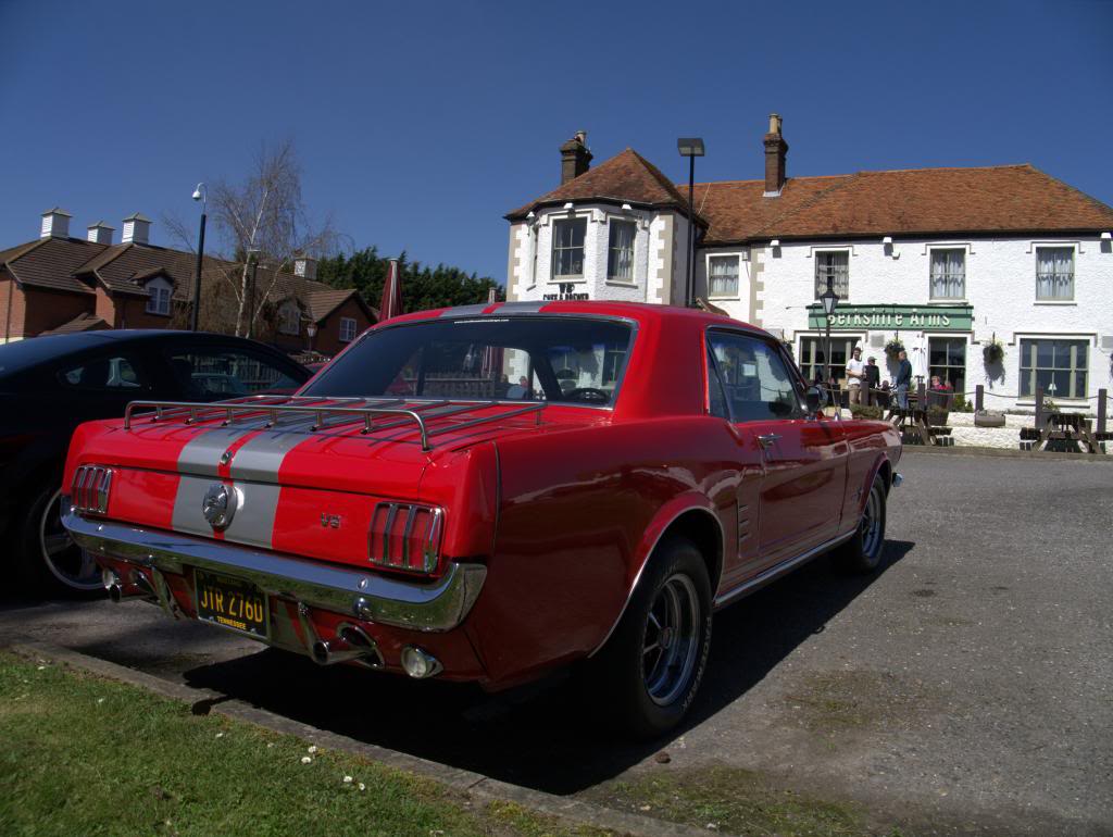 Name:  P1030363_zpsc50b0abc.jpg
Views: 36
Size:  100.1 KB