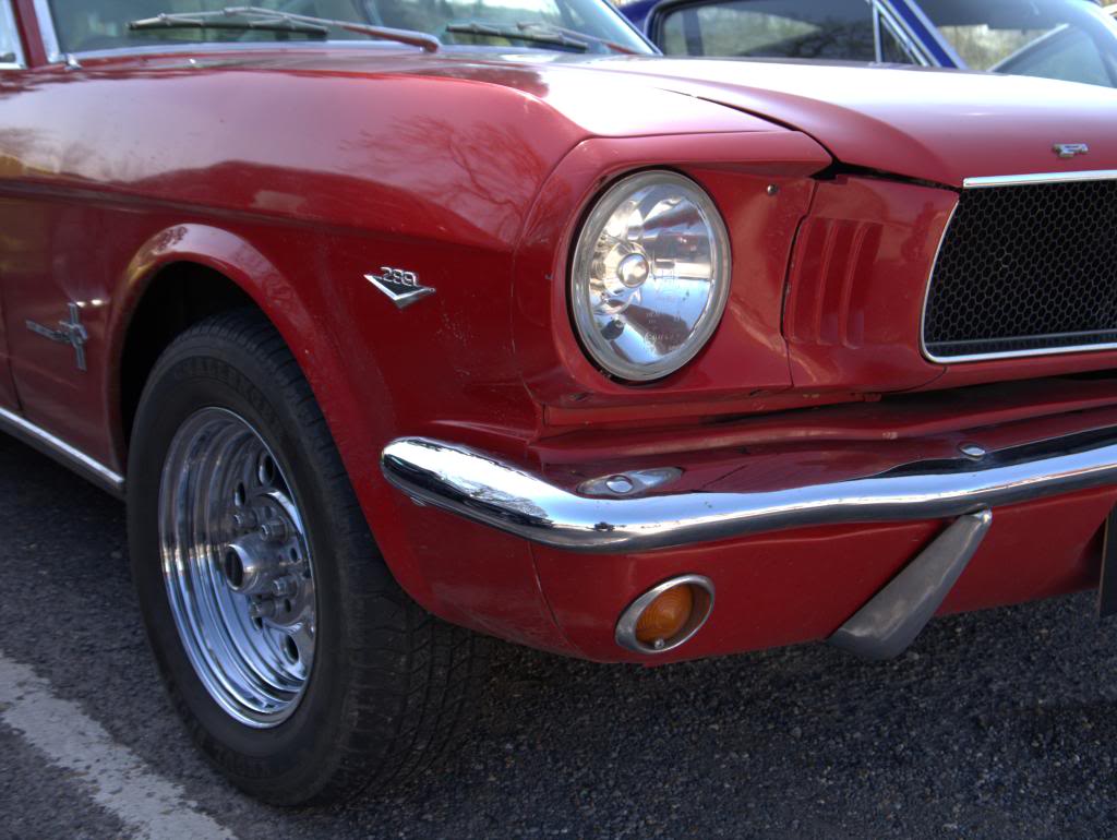 Name:  P1030370_zps012b7082.jpg
Views: 32
Size:  96.1 KB