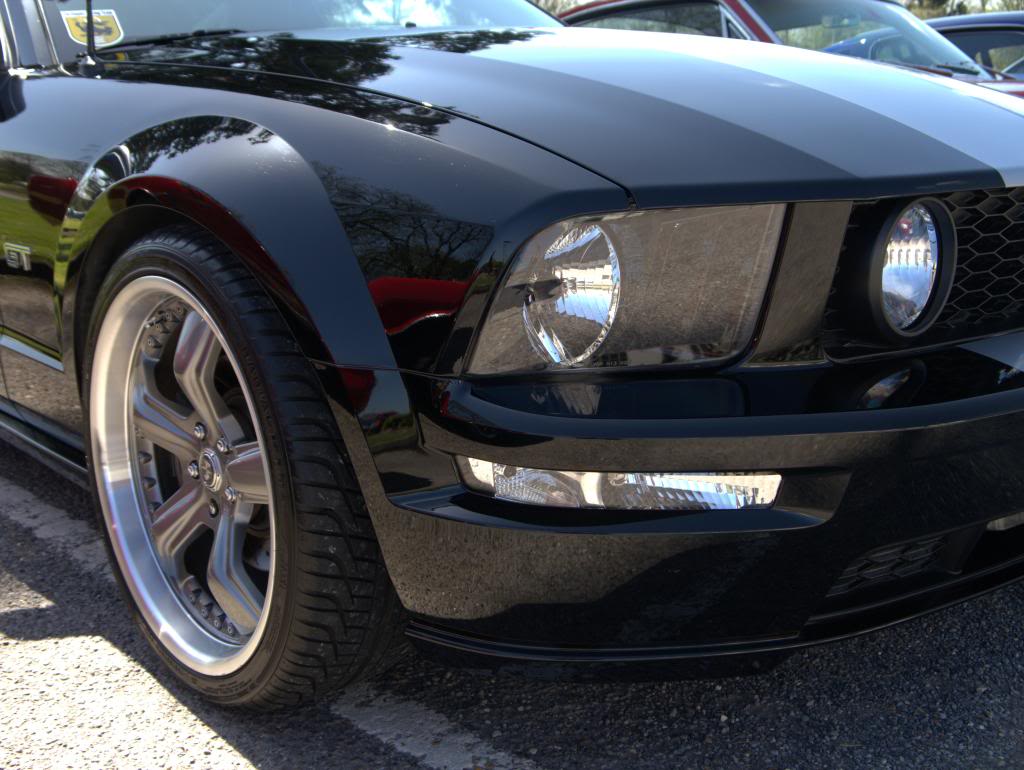 Name:  P1030369_zps3bb33caa.jpg
Views: 32
Size:  102.1 KB