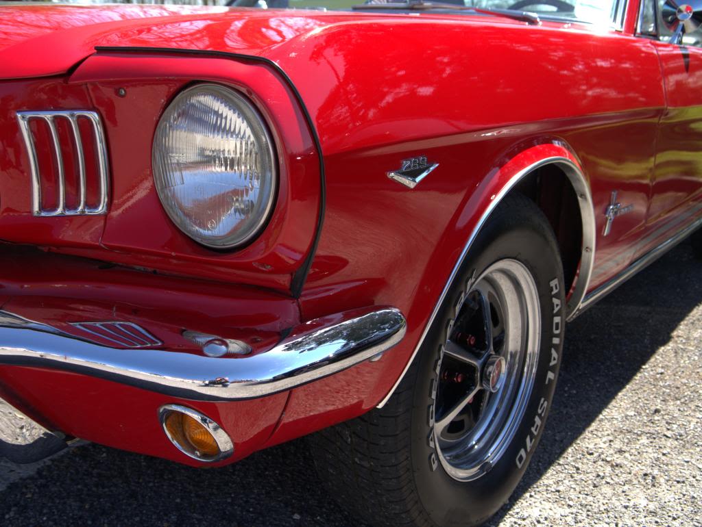 Name:  P1030368_zps5da60165.jpg
Views: 33
Size:  115.0 KB