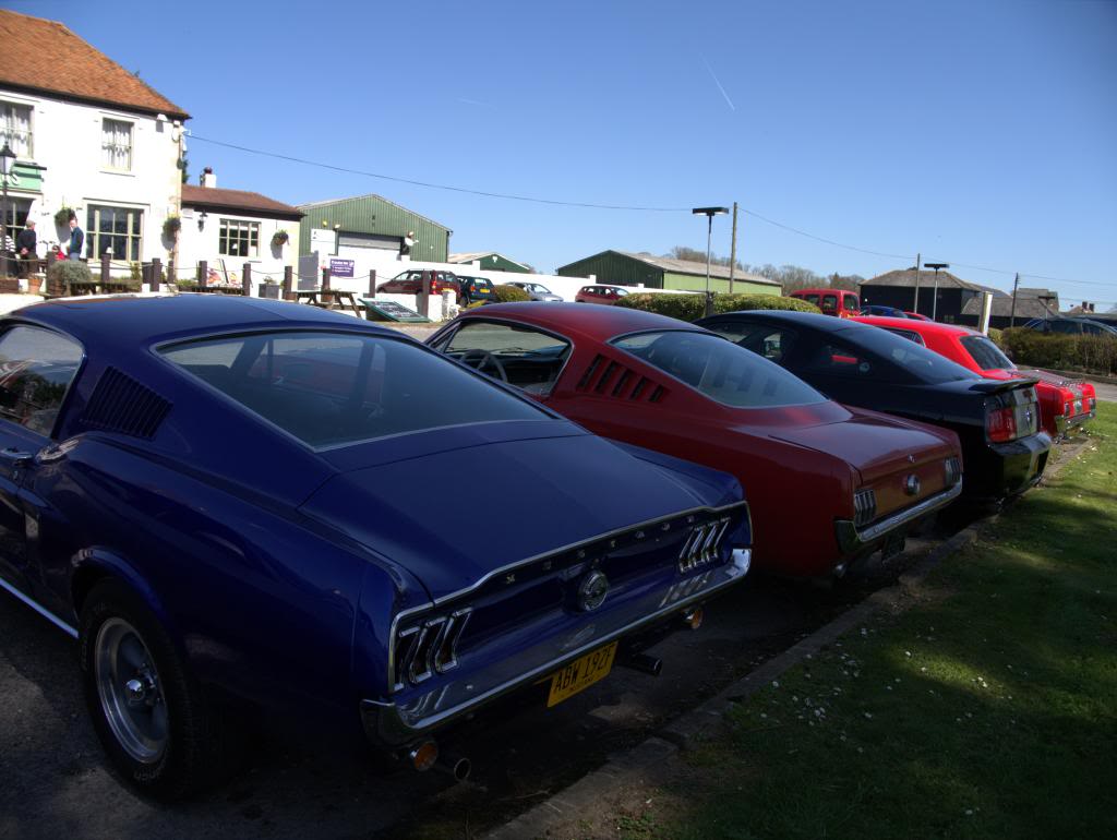 Name:  P1030362_zpsb02bd429.jpg
Views: 34
Size:  81.4 KB