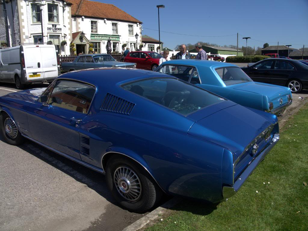 Name:  P1030361_zpsc1e0a8d4.jpg
Views: 39
Size:  109.5 KB