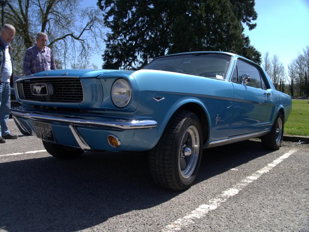 Name:  P1030360_zps8cb9a2d3.jpg
Views: 35
Size:  137.2 KB