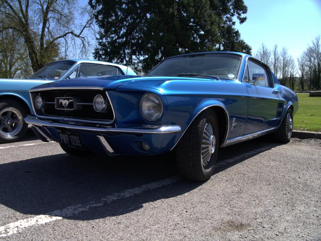 Name:  P1030359_zps24e649bc.jpg
Views: 34
Size:  145.0 KB