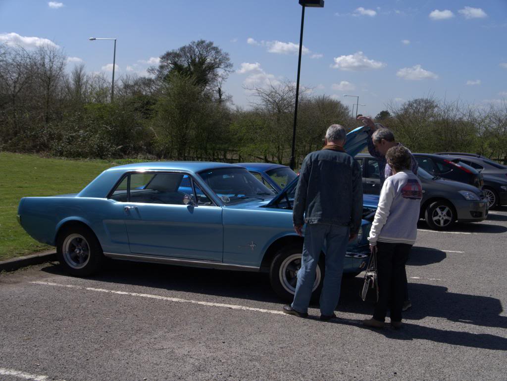 Name:  P1030358_zps1c784c9d.jpg
Views: 34
Size:  108.4 KB