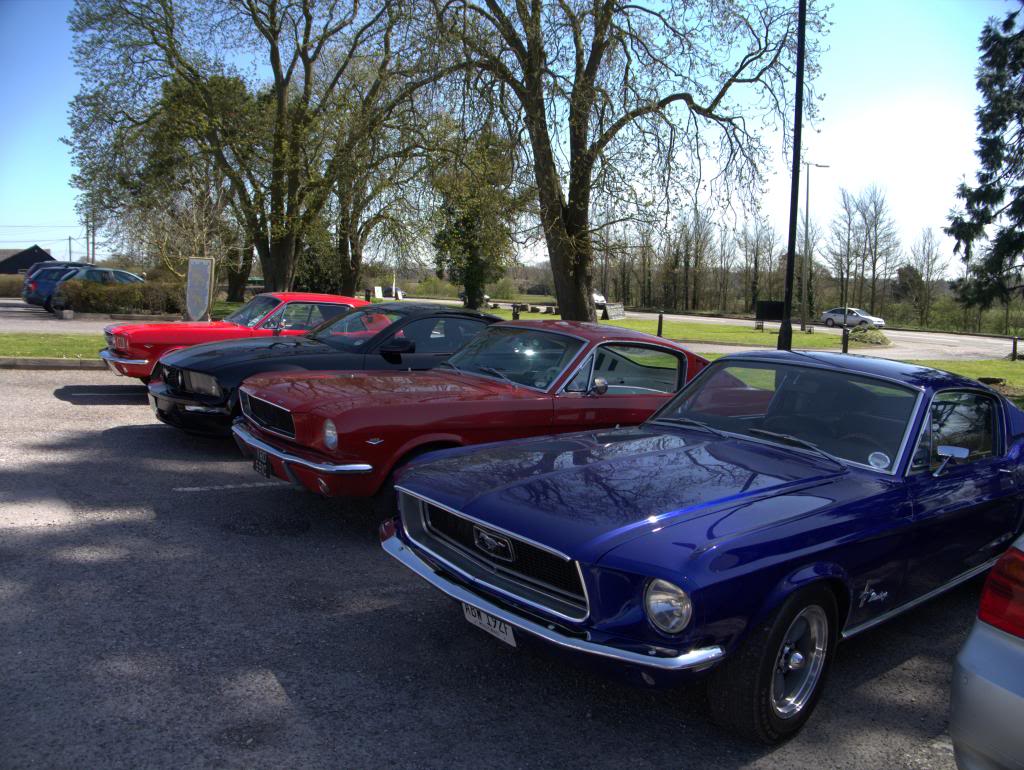 Name:  P1030357_zps159753f6.jpg
Views: 30
Size:  155.2 KB