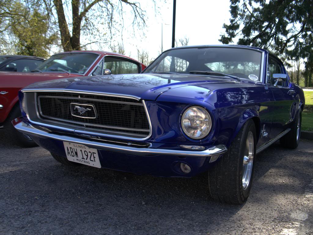 Name:  P1030356_zps75874e6f.jpg
Views: 29
Size:  134.9 KB