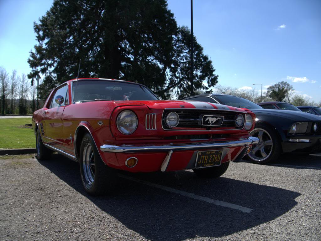 Name:  P1030353_zpsab685317.jpg
Views: 34
Size:  122.7 KB