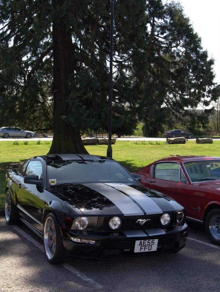 Name:  3a11dcb8-387d-4f63-b32f-5731c34e0d2c_zpsddb4945f.jpg
Views: 30
Size:  134.4 KB