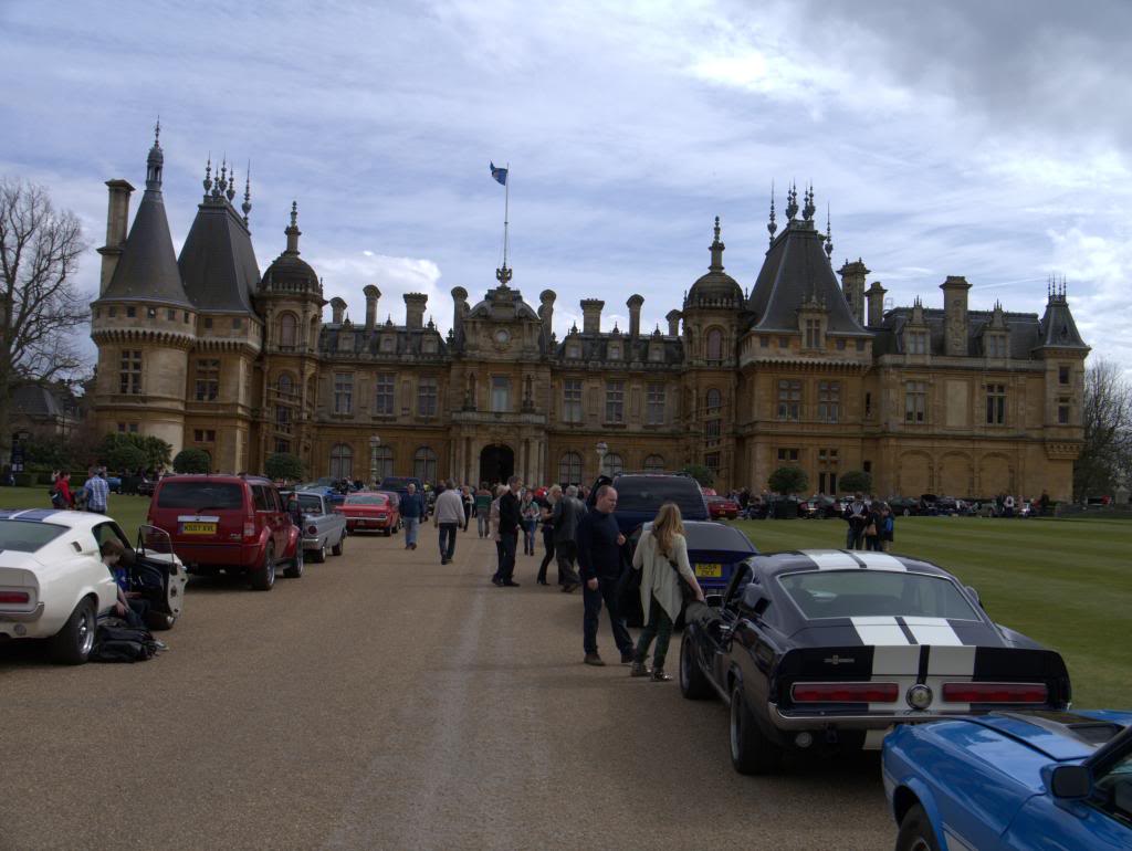 Name:  P1030347_zps0a2f087f.jpg
Views: 60
Size:  91.2 KB