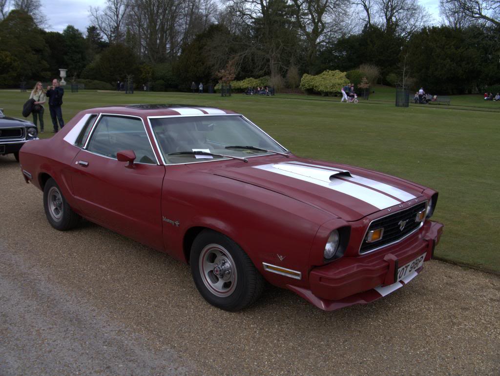 Name:  P1030343_zps8a926ffa.jpg
Views: 70
Size:  116.3 KB