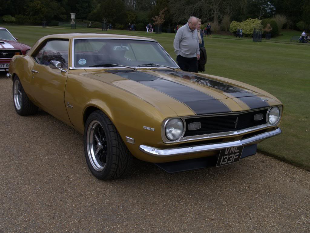 Name:  P1030342_zpsa9e7bd01.jpg
Views: 73
Size:  108.9 KB