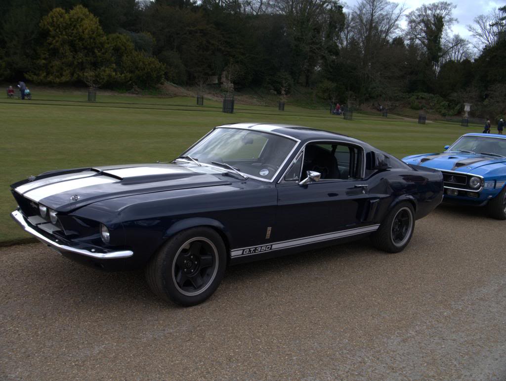 Name:  P1030341_zps5a8b21bb.jpg
Views: 31
Size:  107.7 KB