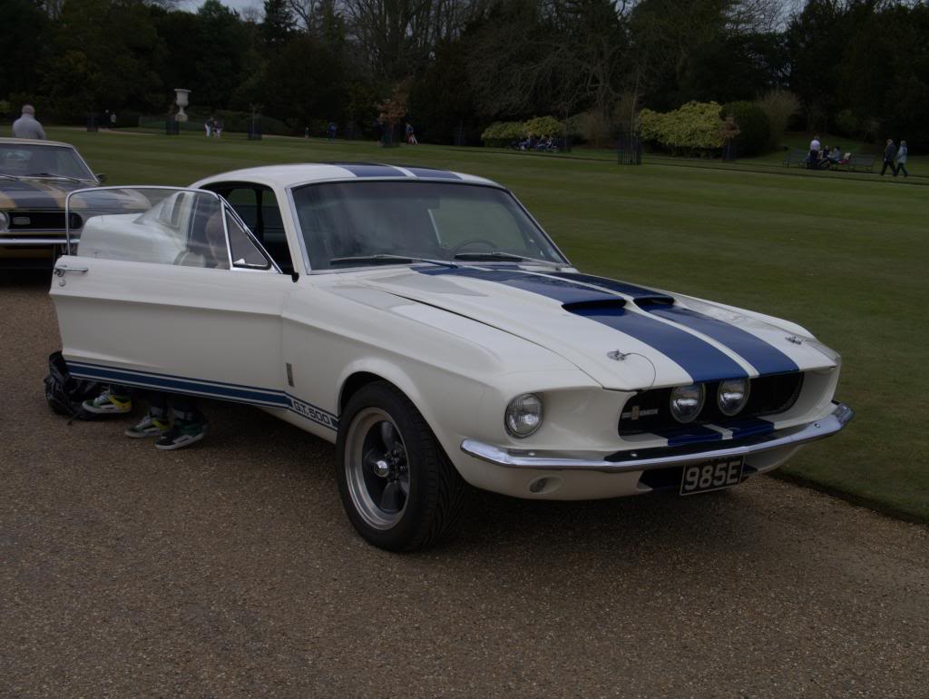 Name:  P1030340_zps828bd1bb.jpg
Views: 65
Size:  91.6 KB