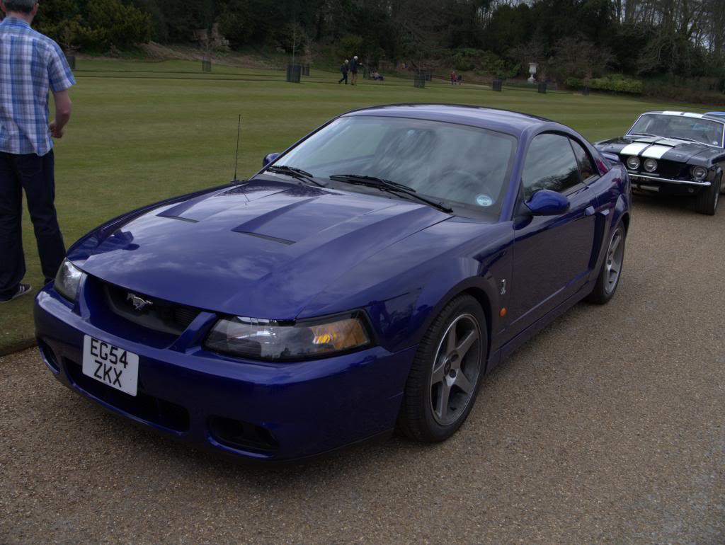 Name:  P1030339_zpsc1fc6898.jpg
Views: 61
Size:  100.4 KB