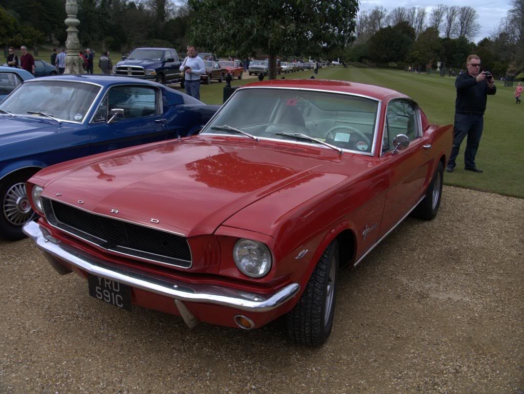 Name:  P1030337_zps277b4630.jpg
Views: 53
Size:  125.9 KB