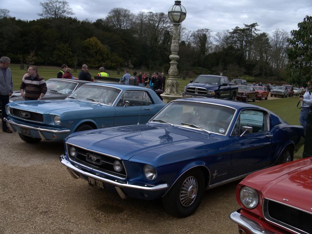 Name:  P1030336_zps8b17f606.jpg
Views: 55
Size:  122.3 KB