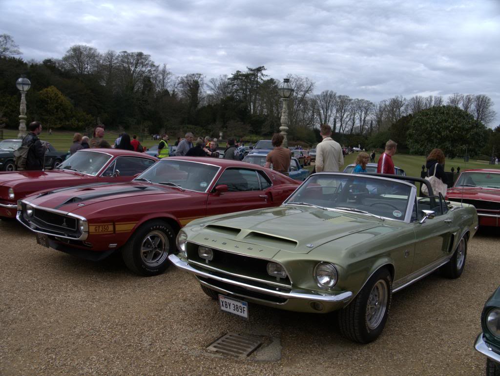 Name:  P1030335_zpse8a72f1c.jpg
Views: 54
Size:  119.0 KB