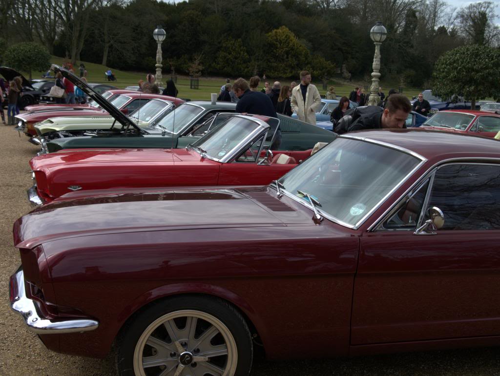 Name:  P1030334_zpsb921f16e.jpg
Views: 55
Size:  105.2 KB