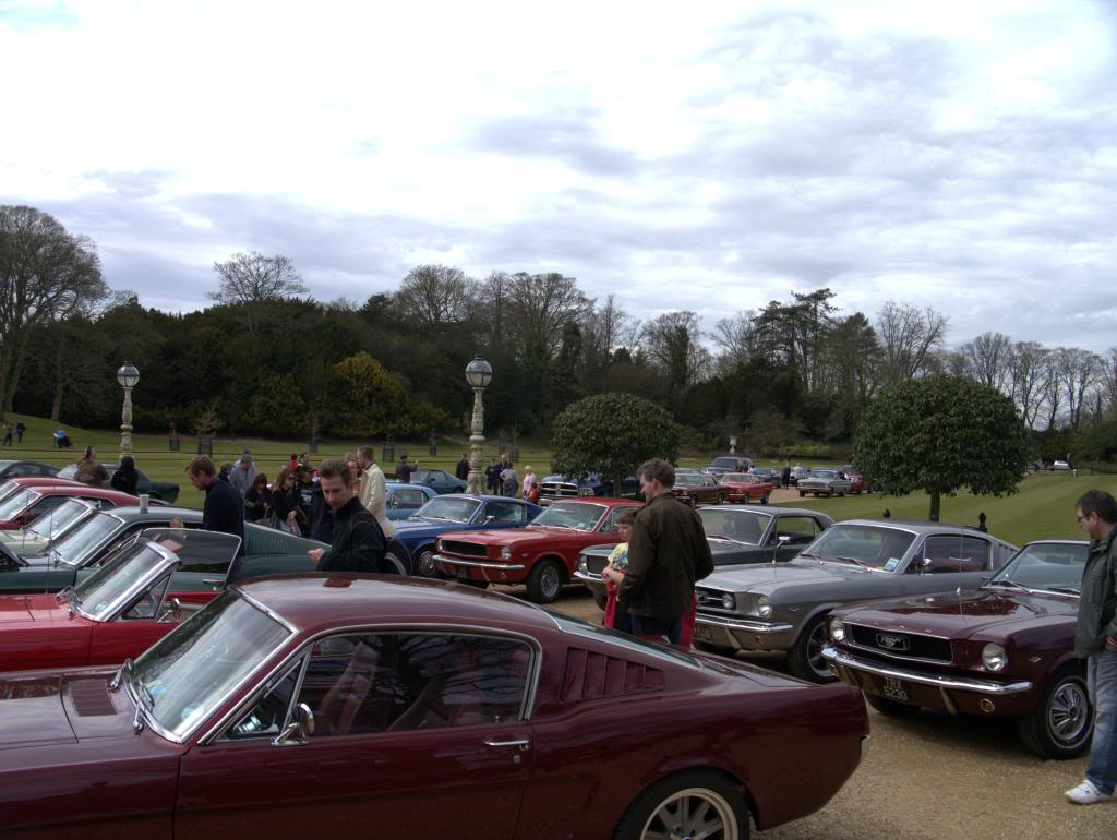 Name:  P1030333_zps6fe87d3a.jpg
Views: 56
Size:  97.5 KB