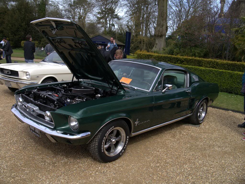 Name:  P1030332_zps830152cc.jpg
Views: 55
Size:  159.1 KB