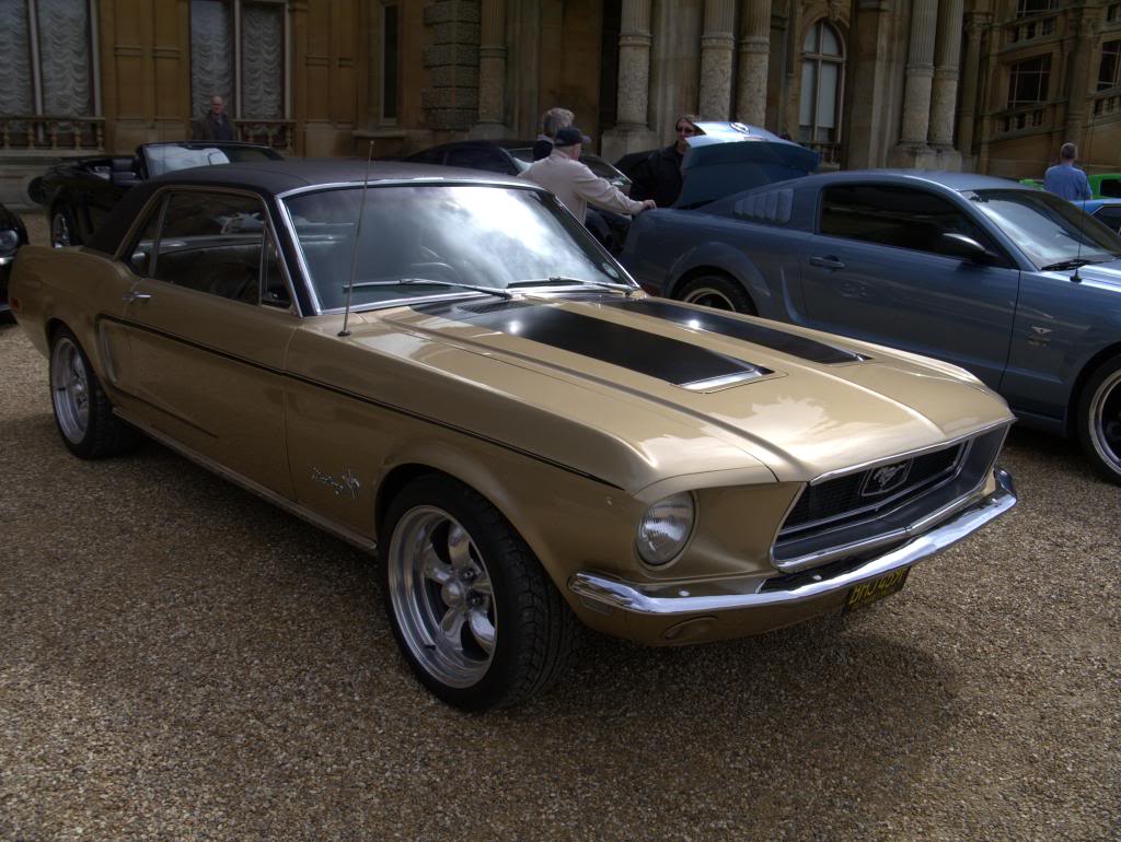 Name:  P1030331_zpsa5bd3745.jpg
Views: 63
Size:  120.0 KB