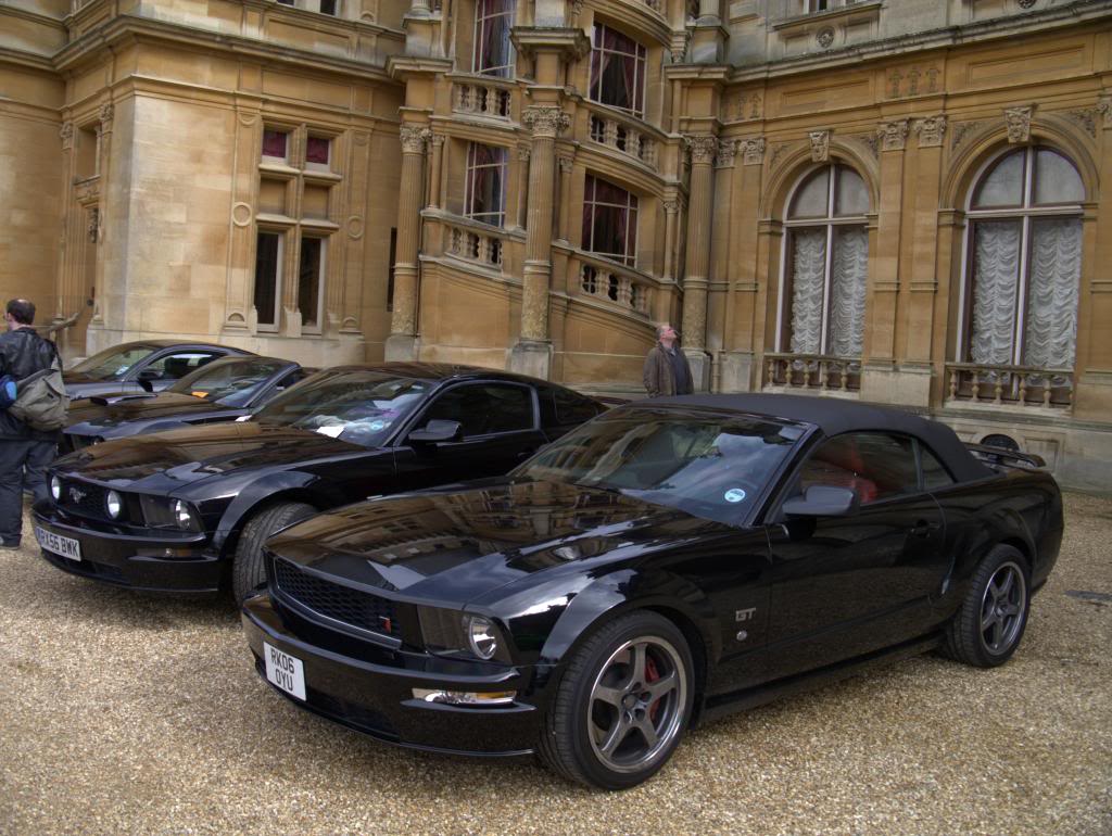 Name:  P1030330_zpsfab4e602.jpg
Views: 54
Size:  134.4 KB