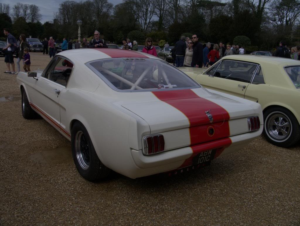 Name:  P1030329_zps1765a790.jpg
Views: 30
Size:  101.7 KB