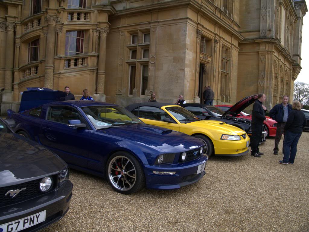 Name:  P1030328_zps49f78777.jpg
Views: 51
Size:  132.2 KB