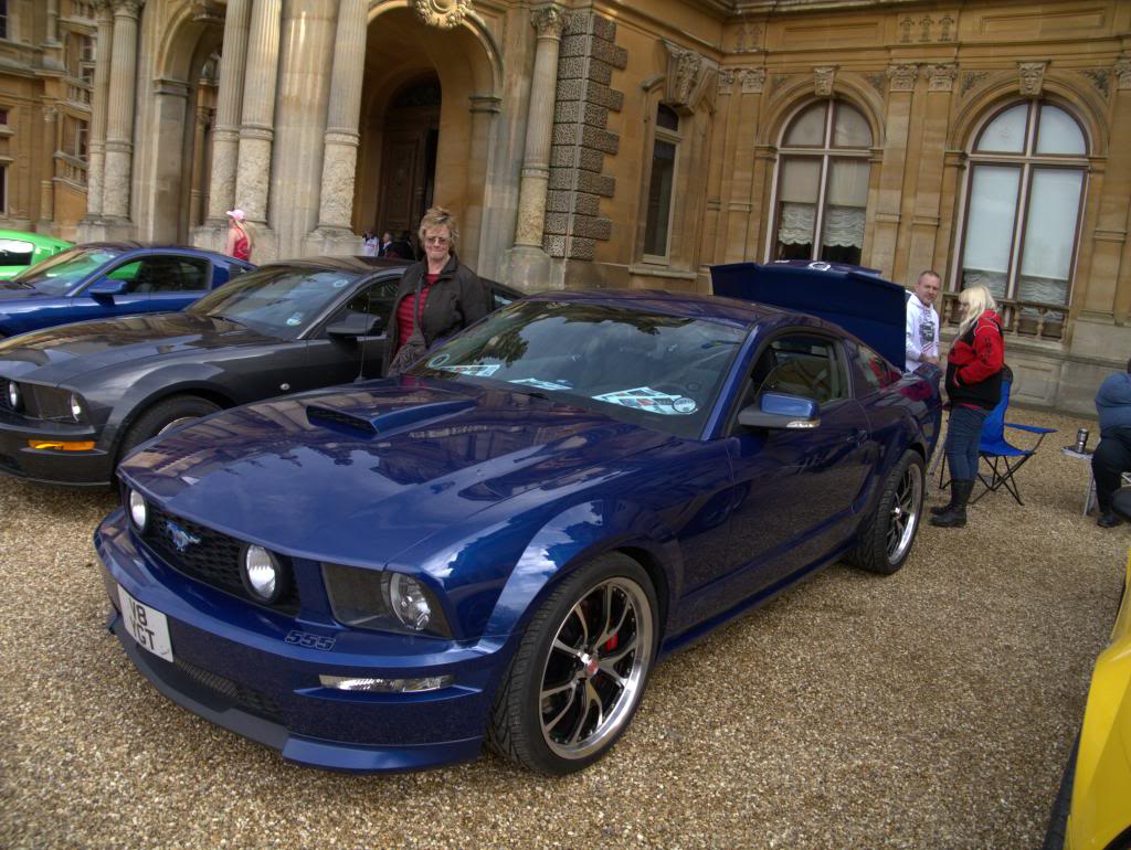 Name:  P1030327_zpsf1eeed9c.jpg
Views: 57
Size:  140.3 KB