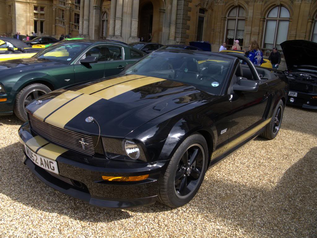 Name:  P1030326_zps9bd81b22.jpg
Views: 59
Size:  150.9 KB