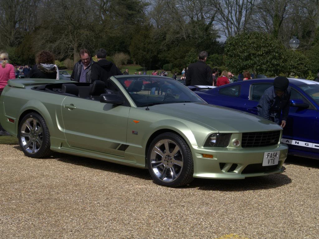 Name:  P1030324_zps75393993.jpg
Views: 32
Size:  134.3 KB