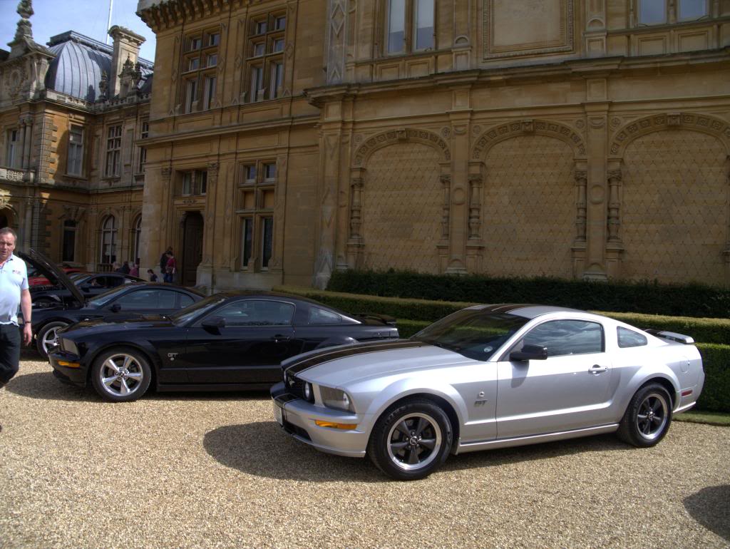 Name:  P1030323_zpsead5a002.jpg
Views: 59
Size:  133.4 KB