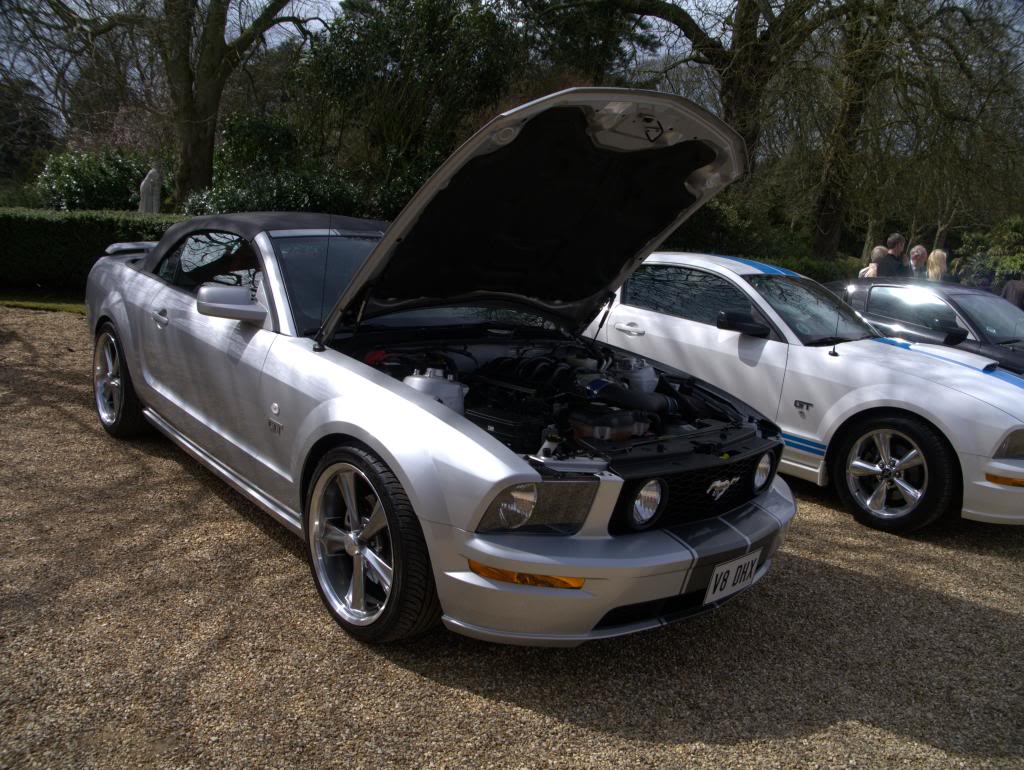 Name:  P1030322_zps2e673b09.jpg
Views: 64
Size:  145.1 KB