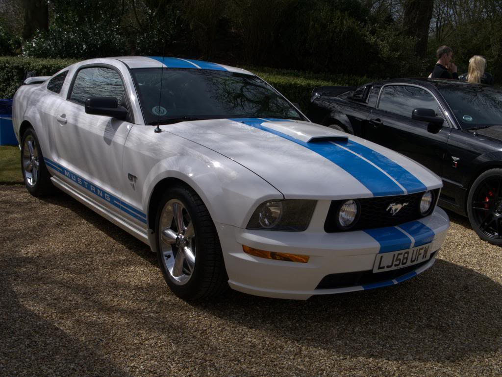 Name:  P1030321_zps26a2eca2.jpg
Views: 54
Size:  121.6 KB