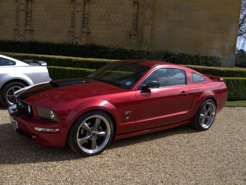 Name:  P1030320_zps9de7e905.jpg
Views: 59
Size:  135.8 KB