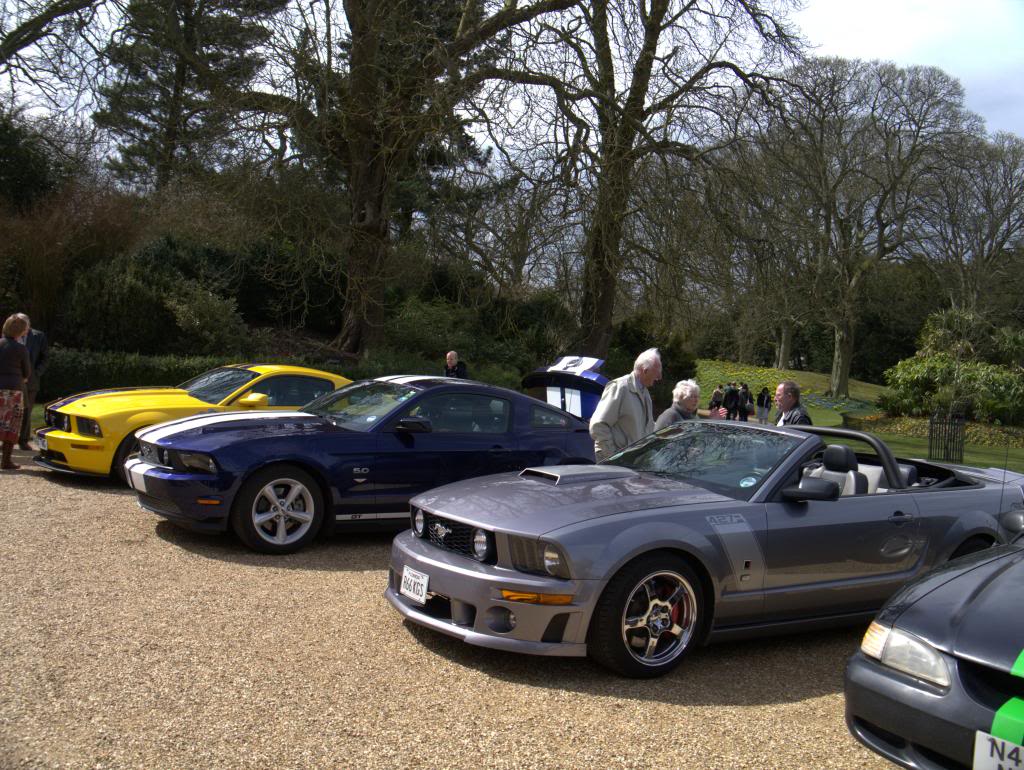 Name:  P1030319_zps2ed5f943.jpg
Views: 33
Size:  177.3 KB