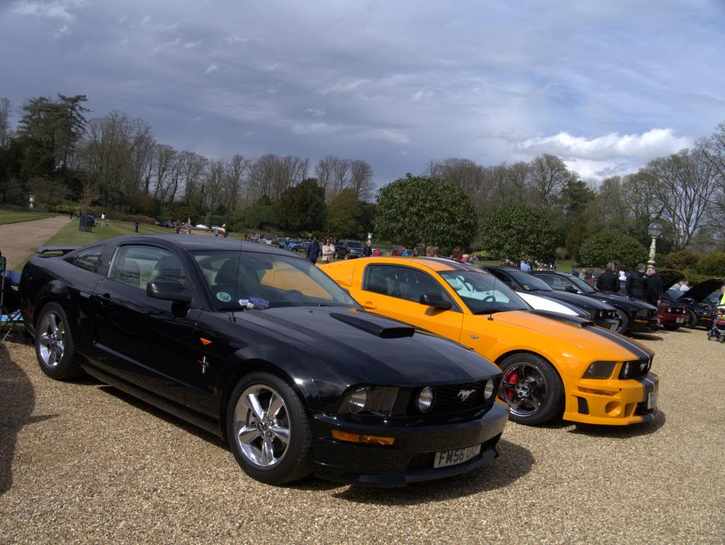 Name:  P1030318_zps30f1fd18.jpg
Views: 60
Size:  124.7 KB