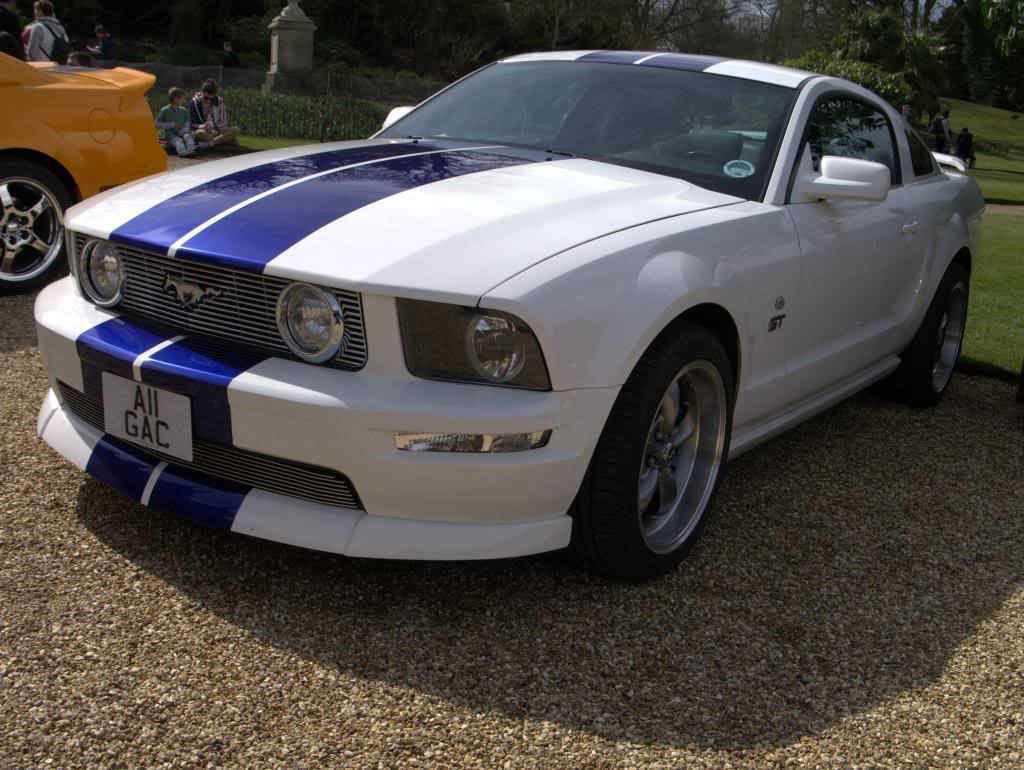 Name:  P1030317_zps591bd823.jpg
Views: 61
Size:  131.4 KB