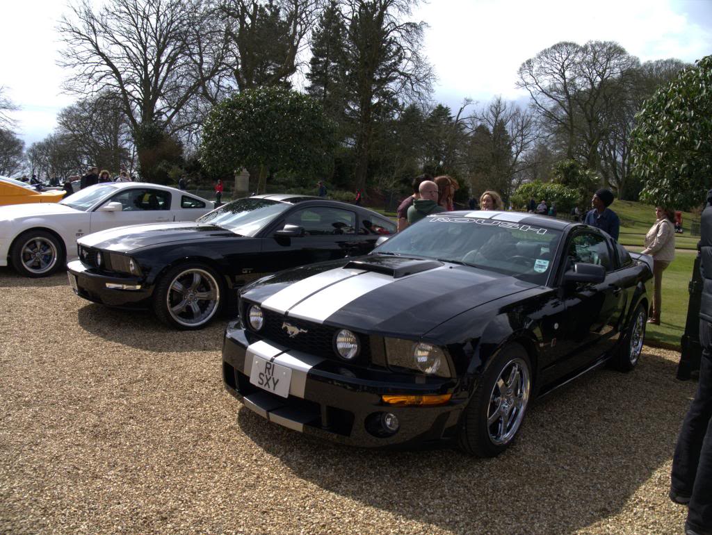 Name:  P1030314_zps6df9665a.jpg
Views: 58
Size:  170.1 KB