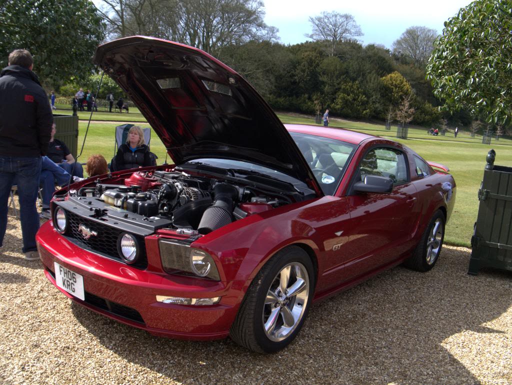 Name:  P1030313_zps6bd2b465.jpg
Views: 57
Size:  162.8 KB