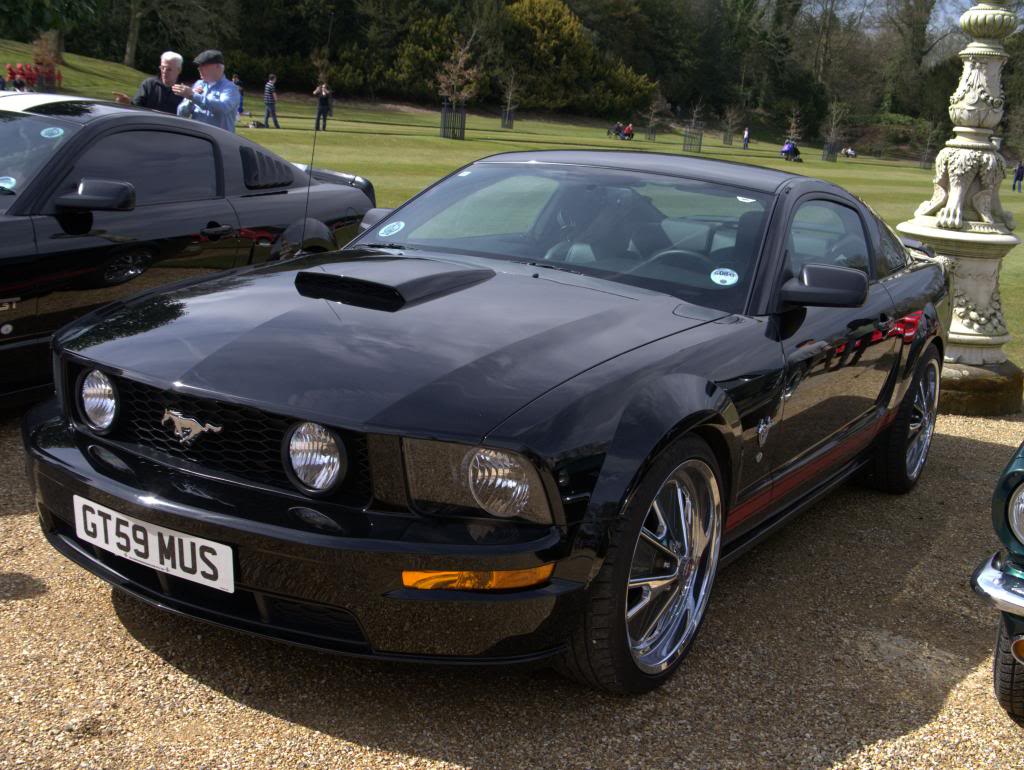 Name:  P1030312_zps3c14077a.jpg
Views: 68
Size:  132.8 KB