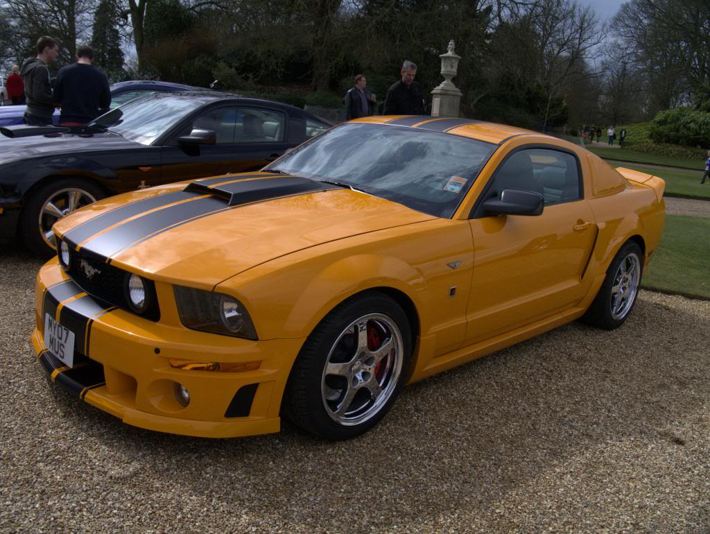 Name:  P1030311_zps61bc6b8f.jpg
Views: 31
Size:  134.9 KB