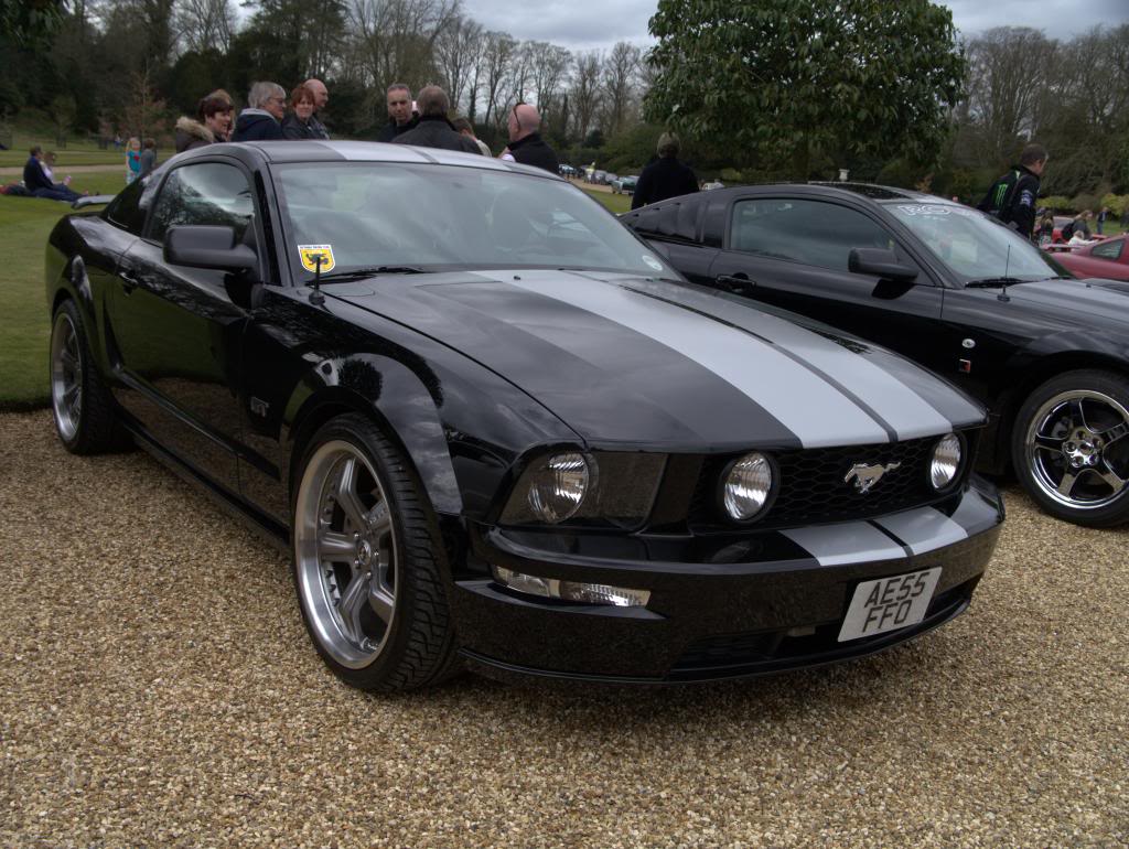 Name:  P1030350_zps3253ed01.jpg
Views: 60
Size:  143.6 KB