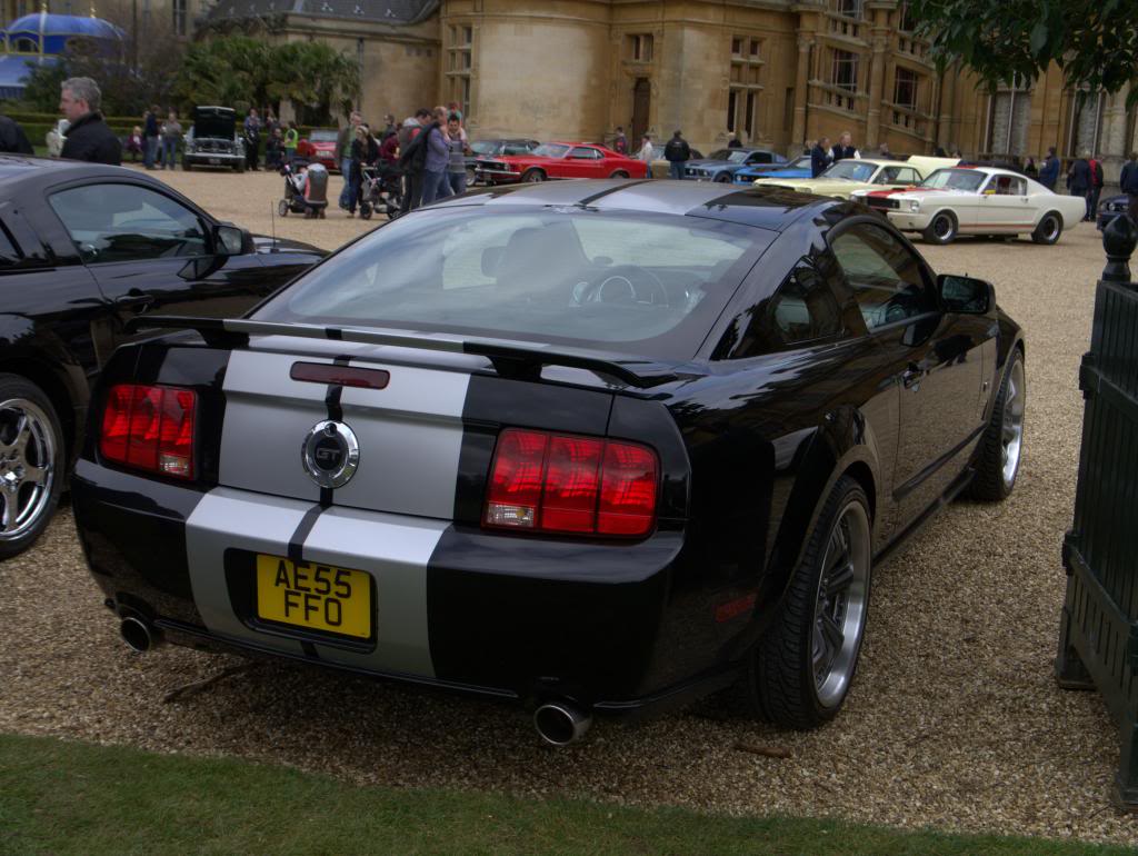 Name:  P1030352_zpsff516631.jpg
Views: 55
Size:  114.9 KB